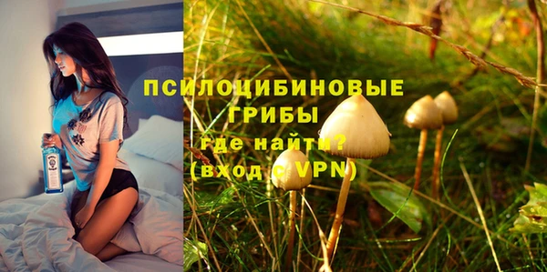 метадон Арсеньев