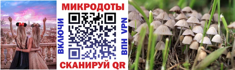 цены   Куйбышев  Галлюциногенные грибы Magic Shrooms 