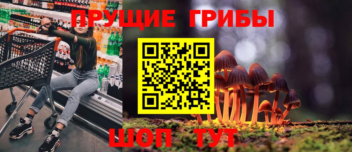 Псилоцибиновые грибы мицелий  хочу наркоту  Вход с VPN  Куйбышев  Псилоцибиновые грибы Cubensis 